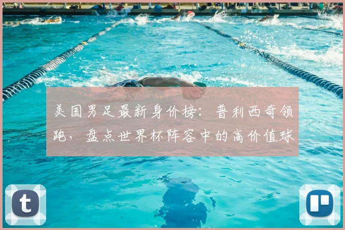 美国男足最新身价榜：普利西奇领跑，盘点世界杯阵容中的高价值球员